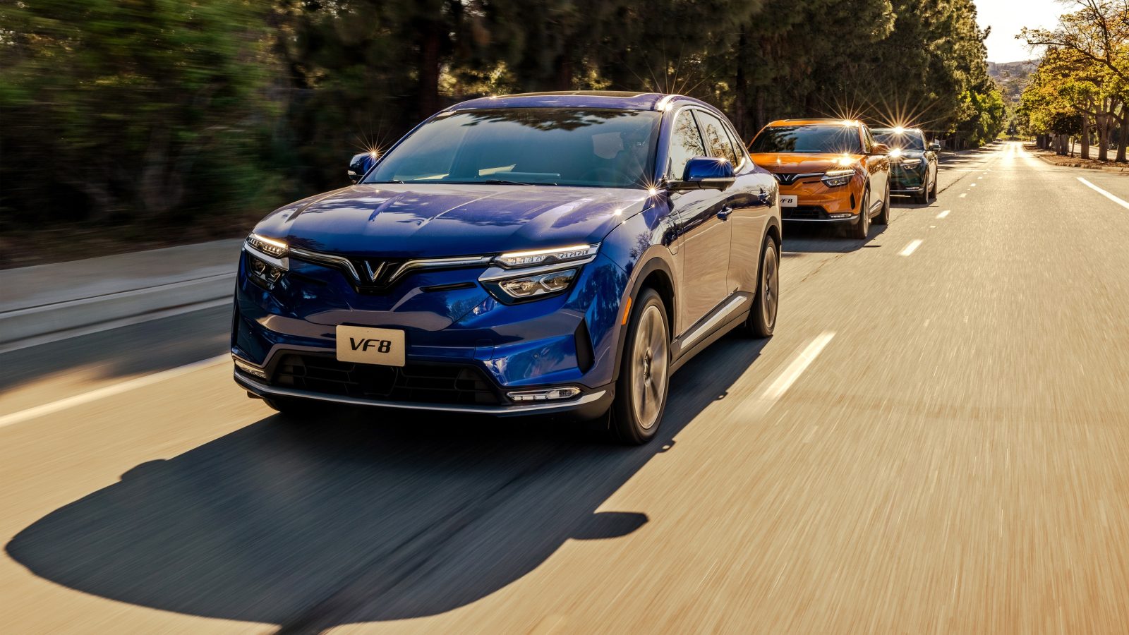 Danh Sách Xe VinFast Được Phép Chạy Kinh Doanh Mới Nhất