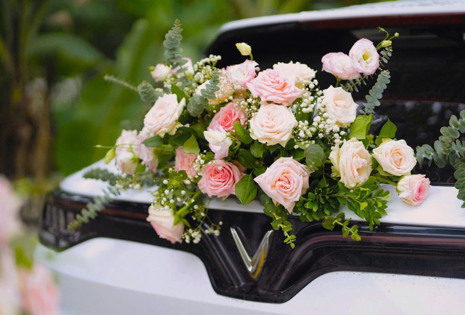 z6341197636167_34e07573ccfd322c4abf751fbf7abfd2