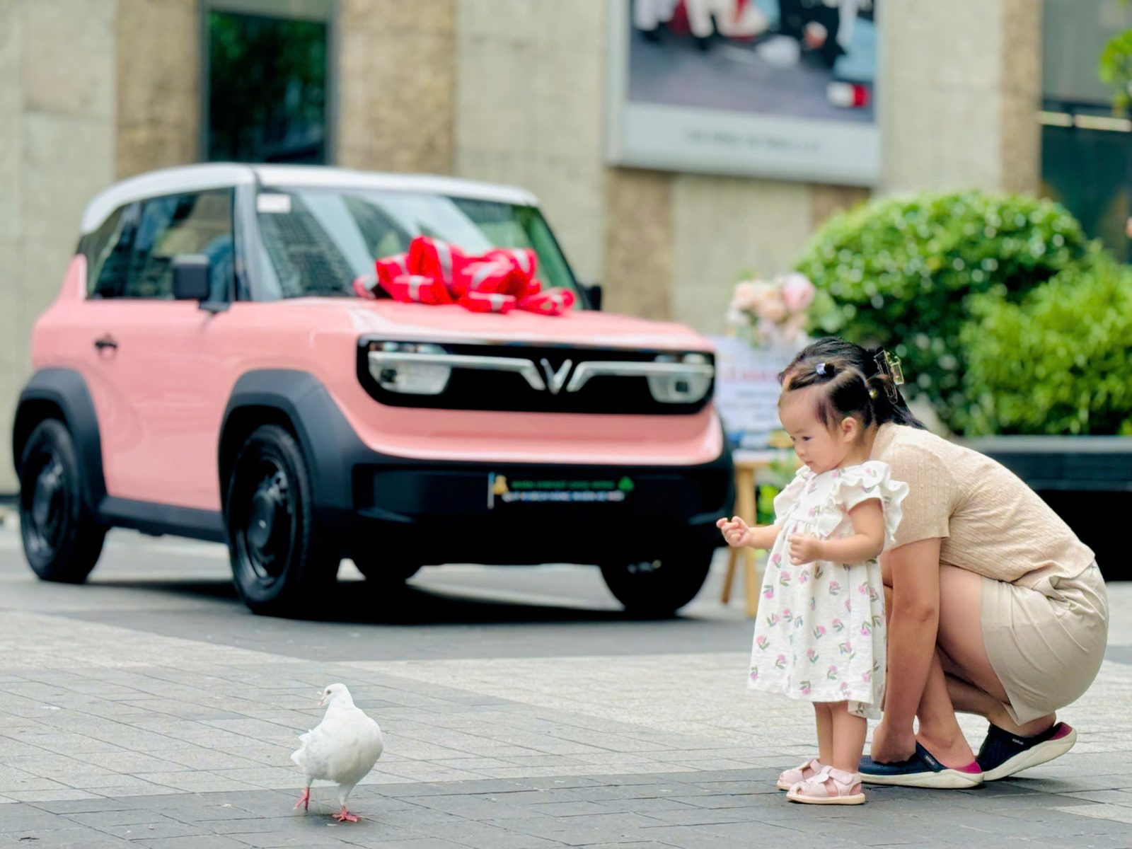 z6366467676178_5b67d69468148210074d965185ecf399