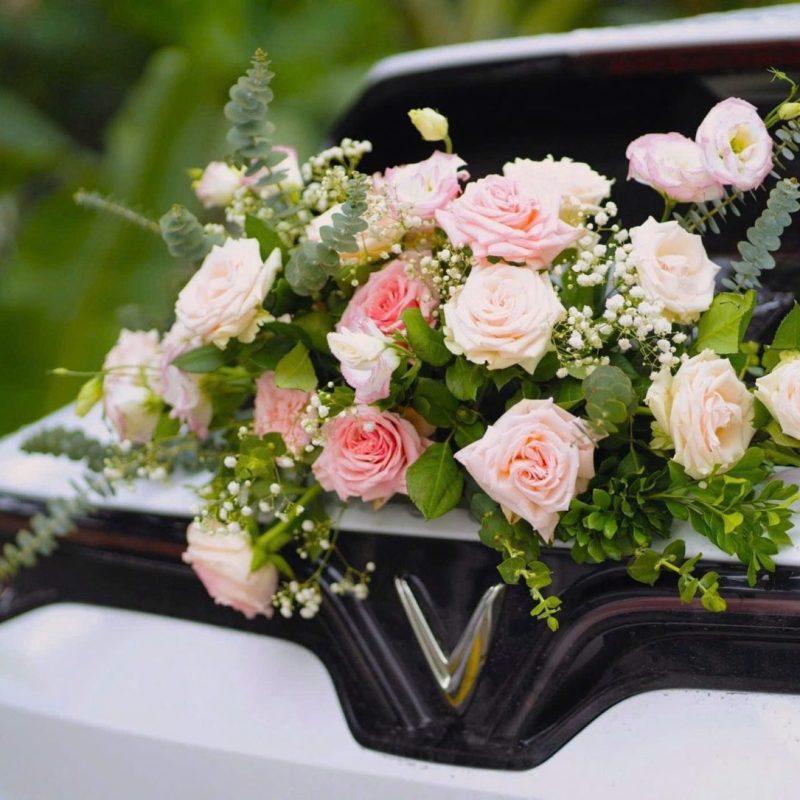 z6341197636167_34e07573ccfd322c4abf751fbf7abfd2